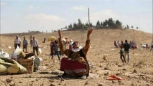 12 سنة على الهجرة الجماعية القسرية من مدينة كوباني